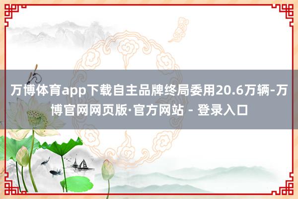 万博体育app下载自主品牌终局委用20.6万辆-万博官网网页版·官方网站 - 登录入口