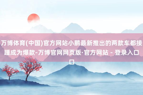 万博体育(中国)官方网站小鹏最新推出的两款车都接踵成为爆款-万博官网网页版·官方网站 - 登录入口