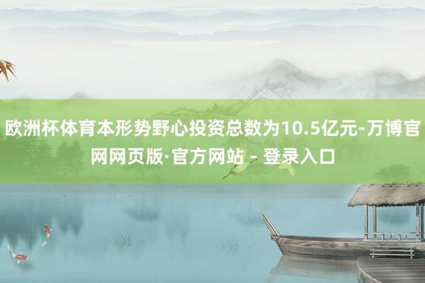 欧洲杯体育本形势野心投资总数为10.5亿元-万博官网网页版·官方网站 - 登录入口